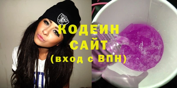 ECSTASY Алзамай
