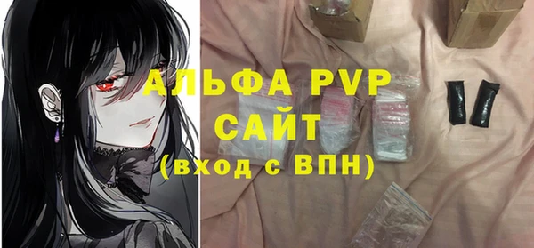 ECSTASY Алзамай