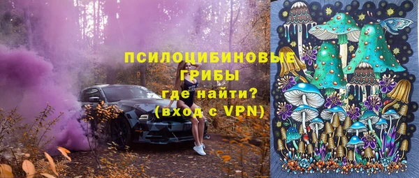spice Алексеевка