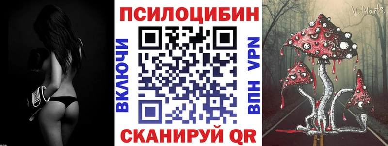 Галлюциногенные грибы Psilocybine cubensis  как найти закладки  кракен зеркало  Алатырь 